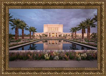 Mesa Arizona Summer Nights Dream