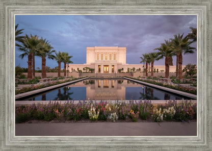 Mesa Arizona Summer Nights Dream