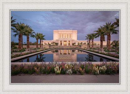 Mesa Arizona Summer Nights Dream