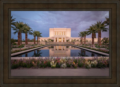 Mesa Arizona Summer Nights Dream