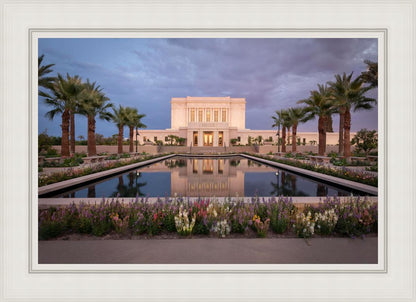 Mesa Arizona Summer Nights Dream