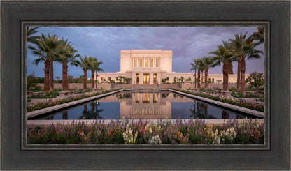 Mesa Arizona Summer Nights Dream