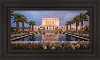 Mesa Arizona Summer Nights Dream