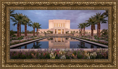 Mesa Arizona Summer Nights Dream