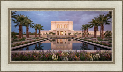 Mesa Arizona Summer Nights Dream