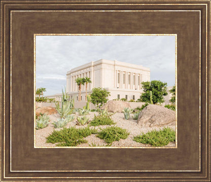 Mesa Arizona He is light