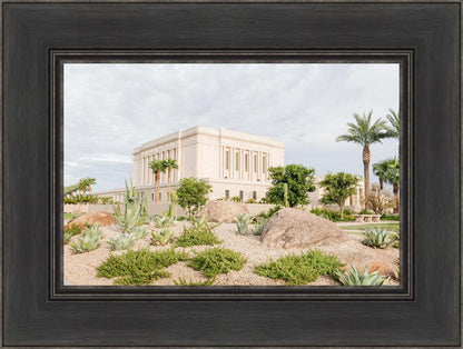 Mesa Arizona He is light