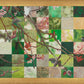 Spring Plum Branch
