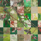 Spring Plum Branch