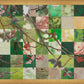 Spring Plum Branch