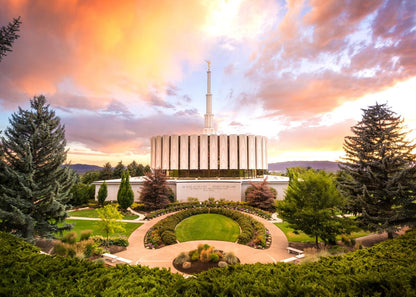 Provo Back Landscape