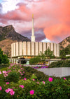 Provo Temple - Summer Sky