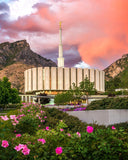 Provo Temple - Summer Sky