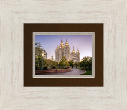 Salt Lake Evening Lights