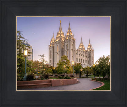 Salt Lake Evening Lights