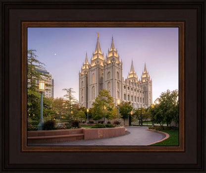 Salt Lake Evening Lights