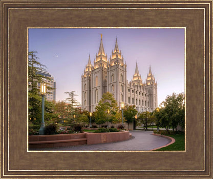 Salt Lake Evening Lights