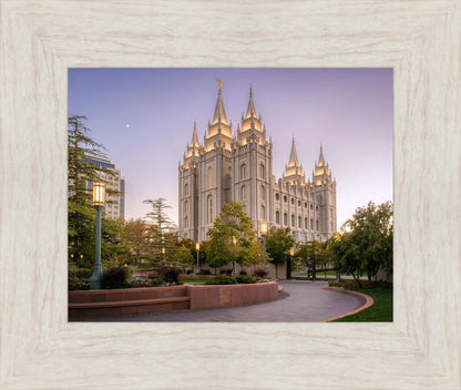 Salt Lake Evening Lights