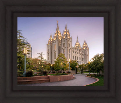 Salt Lake Evening Lights