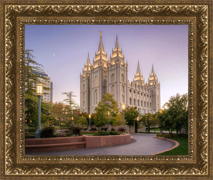 Salt Lake Evening Lights