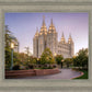 Salt Lake Evening Lights