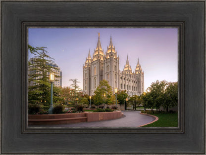 Salt Lake Evening Lights