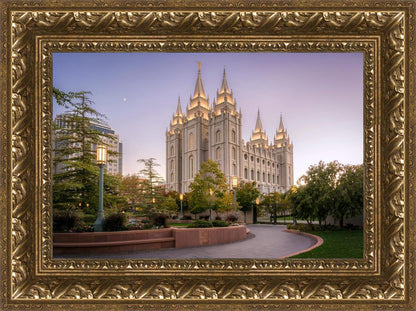 Salt Lake Evening Lights