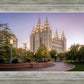 Salt Lake Evening Lights