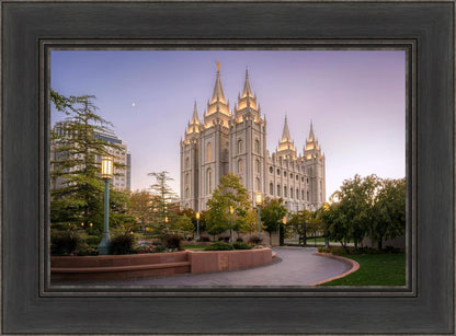 Salt Lake Evening Lights