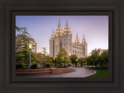 Salt Lake Evening Lights