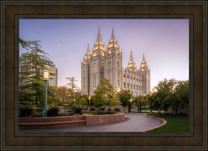 Salt Lake Evening Lights