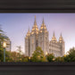 Salt Lake Evening Lights