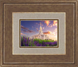 Payson Temple Blooming Lavender