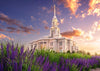 Payson Temple Blooming Lavender