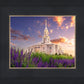 Payson Temple Blooming Lavender