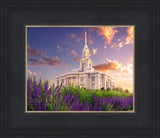 Payson Temple Blooming Lavender