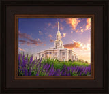 Payson Temple Blooming Lavender