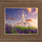 Payson Temple Blooming Lavender