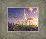 Payson Temple Blooming Lavender