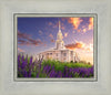 Payson Temple Blooming Lavender