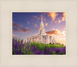 Payson Temple Blooming Lavender