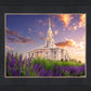 Payson Temple Blooming Lavender