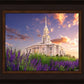 Payson Temple Blooming Lavender