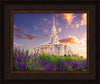 Payson Temple Blooming Lavender