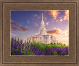 Payson Temple Blooming Lavender