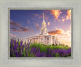 Payson Temple Blooming Lavender