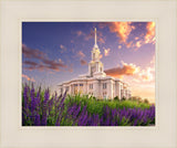 Payson Temple Blooming Lavender