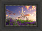 Payson Temple Blooming Lavender