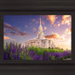 Payson Temple Blooming Lavender