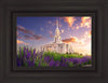 Payson Temple Blooming Lavender